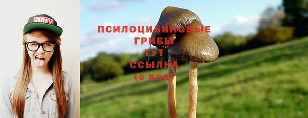 ECSTASY Вязьма